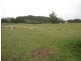 62 SOUTH NIETTA ROAD, Nietta TAS 7315