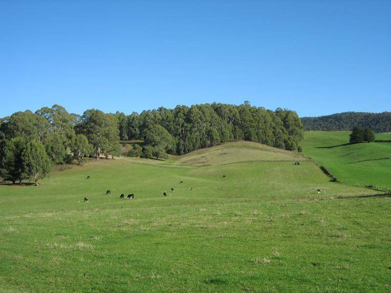 1885 SOUTH RIANA ROAD, Gunns Plains TAS 7315