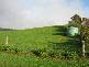 160 STOTTS ROAD, Riana TAS 7316
