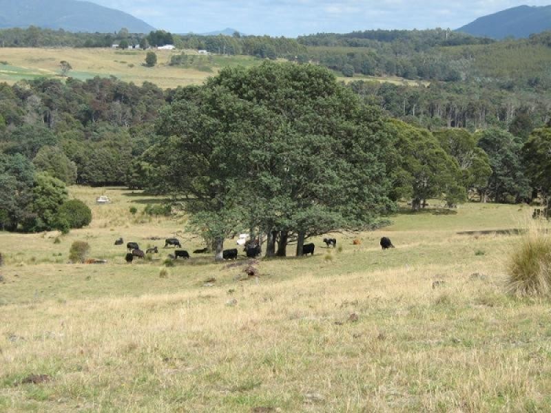 0 Maxfields Road, South Nietta TAS 7315