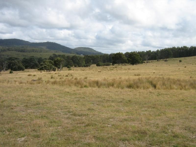 0 Maxfields Road, South Nietta TAS 7315