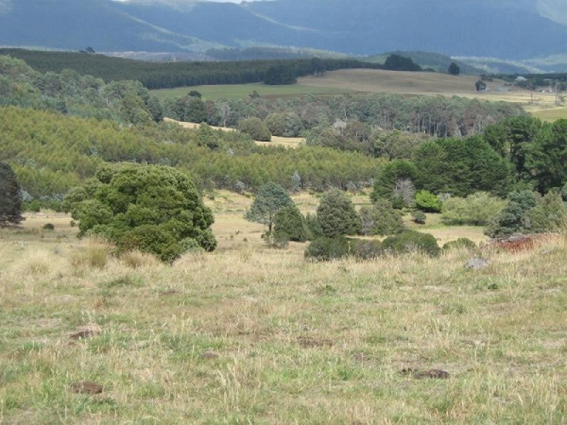 0 Maxfields Road, South Nietta TAS 7315