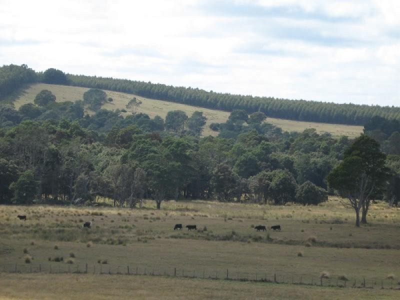 0 Maxfields Road, South Nietta TAS 7315