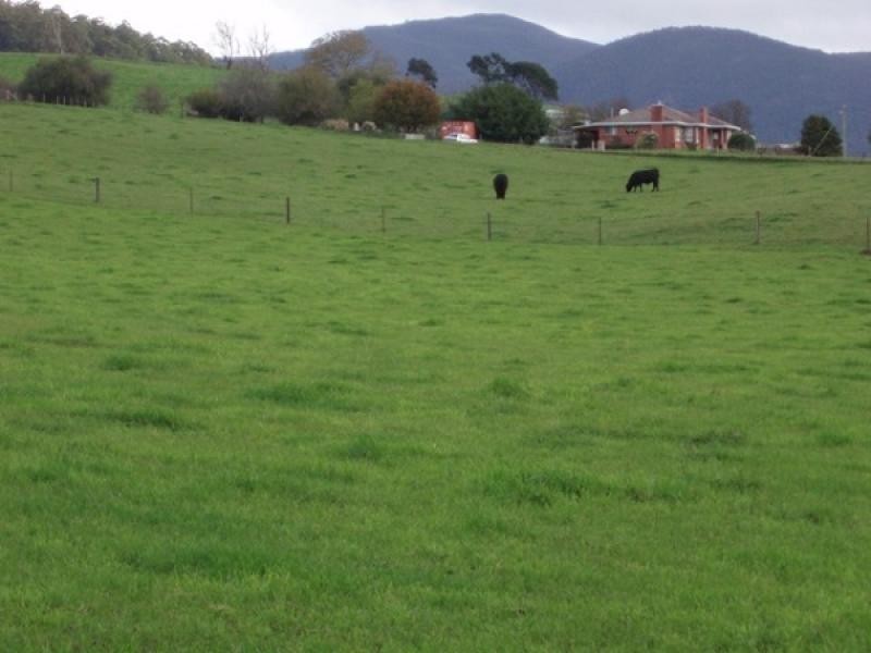 1139 GUNNS PLAINS ROAD, Gunns Plains TAS 7315