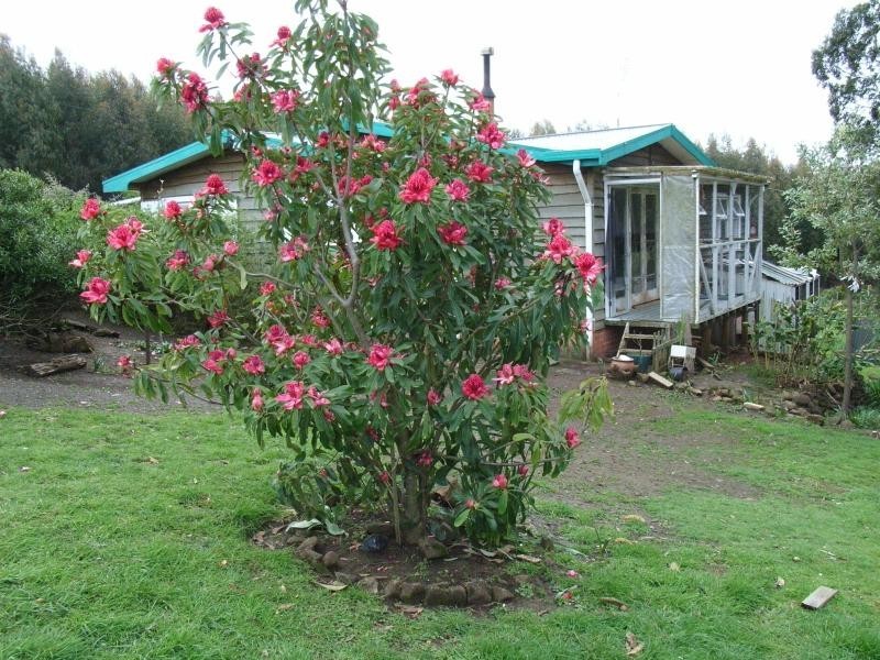 44 CLARKES ROAD, Preston TAS 7315