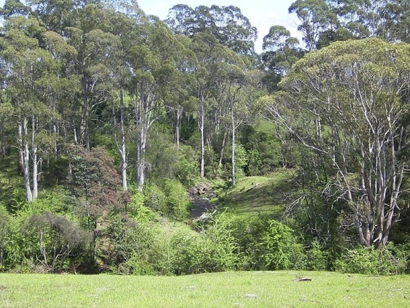 52 VINEGAR HILL ROAD, Sheffield TAS 7306