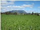 52 VINEGAR HILL ROAD, Sheffield TAS 7306