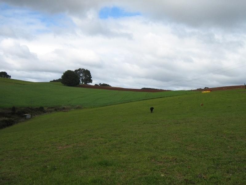 879 CASTRA ROAD, Spalford TAS 7315