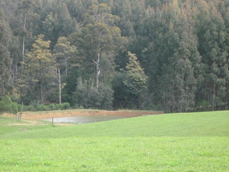 . STAVERTON ROAD, Roland TAS 7306