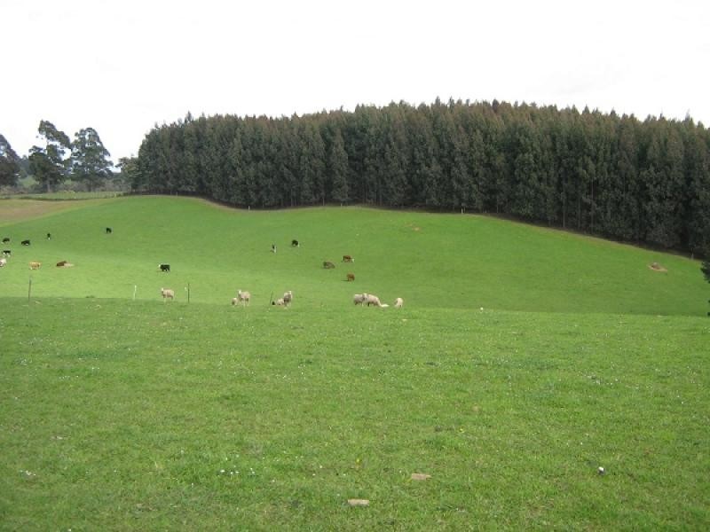 . STAVERTON ROAD, Roland TAS 7306
