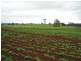 0 Melrose Road and Buster Road, Melrose TAS 7310