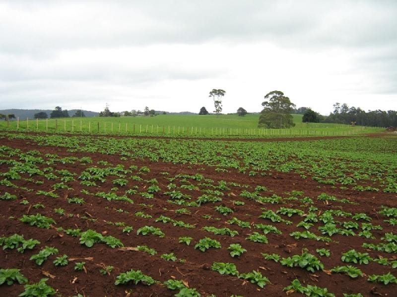 0 Melrose Road and Buster Road, Melrose TAS 7310