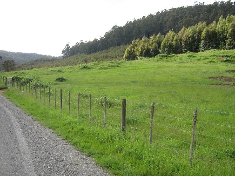 LOONGANA ROAD, Loongana TAS 7315