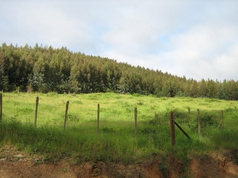 LOONGANA ROAD, Loongana TAS 7315
