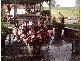 852 BEULAH ROAD, Beulah TAS 7306
