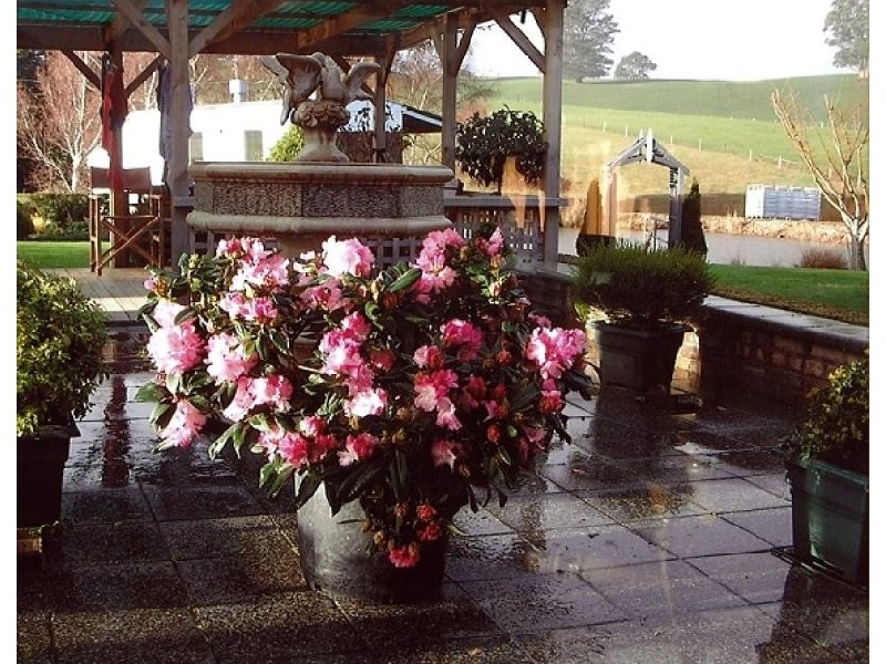 852 BEULAH ROAD, Beulah TAS 7306