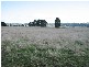 NOOK ROAD, Nook TAS 7306