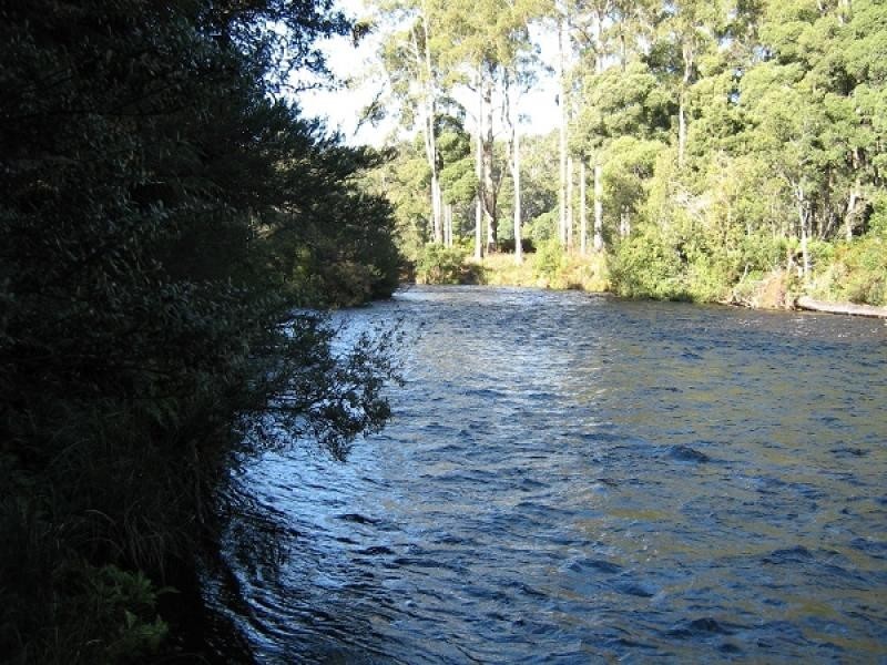 HARVEYS ROAD, North Motton TAS 7315