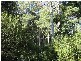 HARVEYS ROAD, North Motton TAS 7315