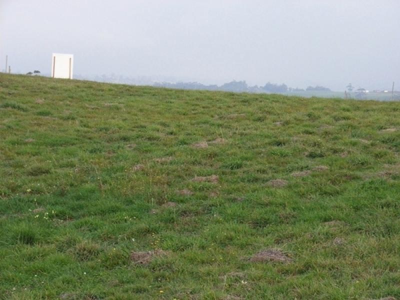 183 Upper Maud Street, Ulverstone TAS 7315