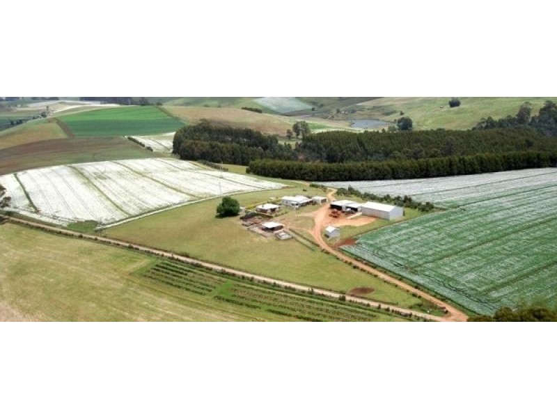 46 Chuggs Road, Forth TAS 7310