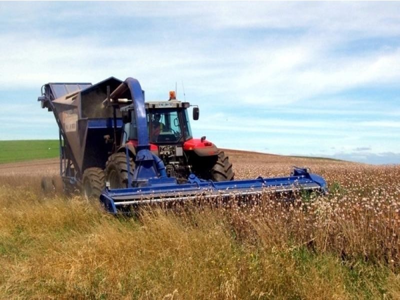 46 Chuggs Road, Forth TAS 7310