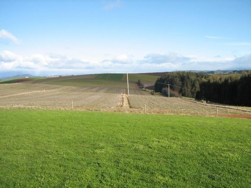 46 Chuggs Road, Forth TAS 7310