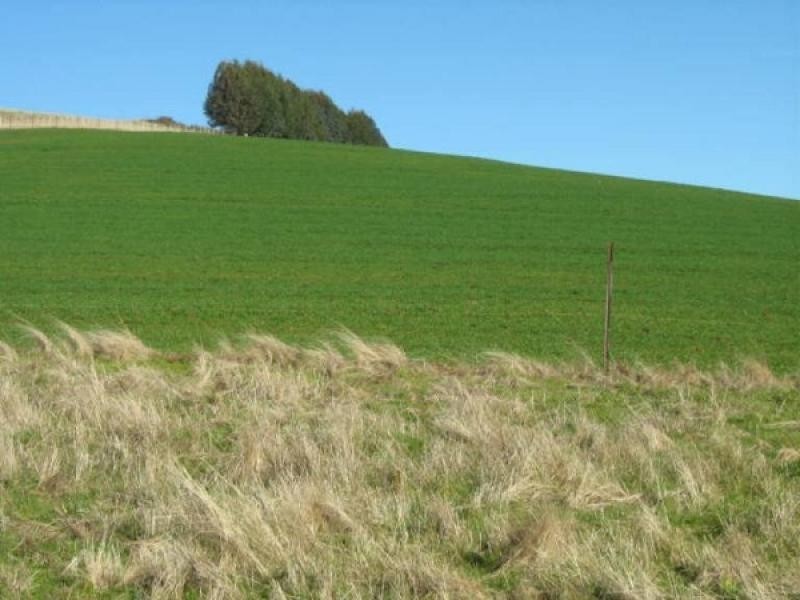 46 Chuggs Road, Forth TAS 7310