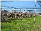 5656 FRANKFORD HIGHWAY, Wesley Vale TAS 7307