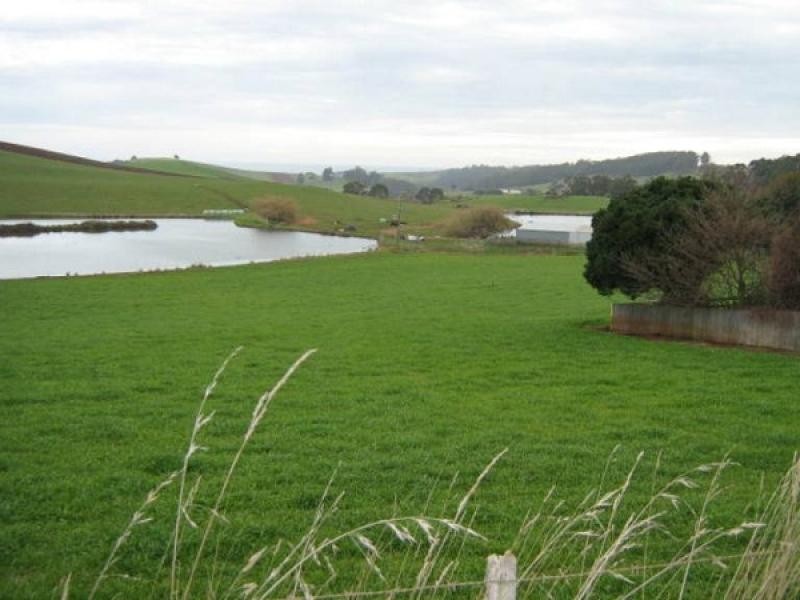 199 Picketts Road, Abbotsham TAS 7315