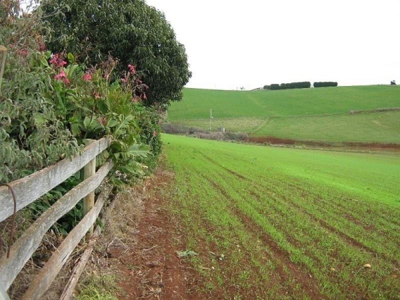 199 Picketts Road, Abbotsham TAS 7315