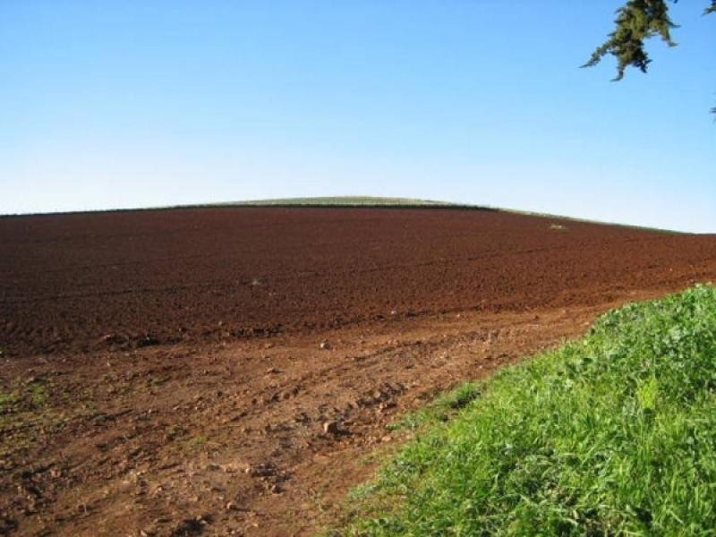 605 Castra Road, Abbotsham TAS 7315