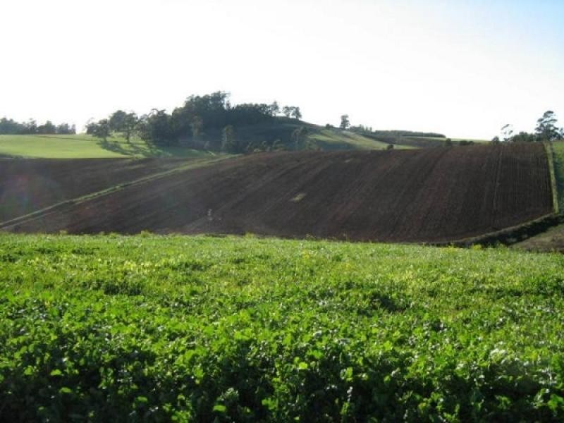 605 Castra Road, Abbotsham TAS 7315