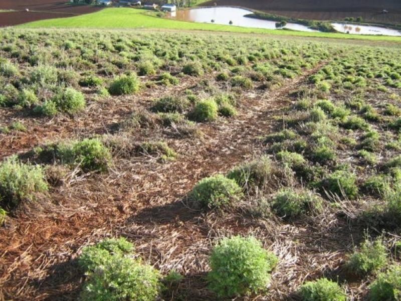 605 Castra Road, Abbotsham TAS 7315