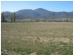 310 Leona Road, Fingal TAS 7214