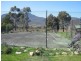 310 Leona Road, Fingal TAS 7214