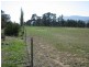 310 Leona Road, Fingal TAS 7214