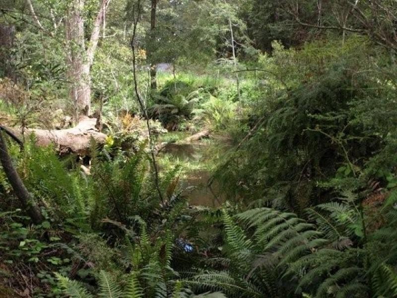 423 Upper Natone Road, Natone TAS 7321