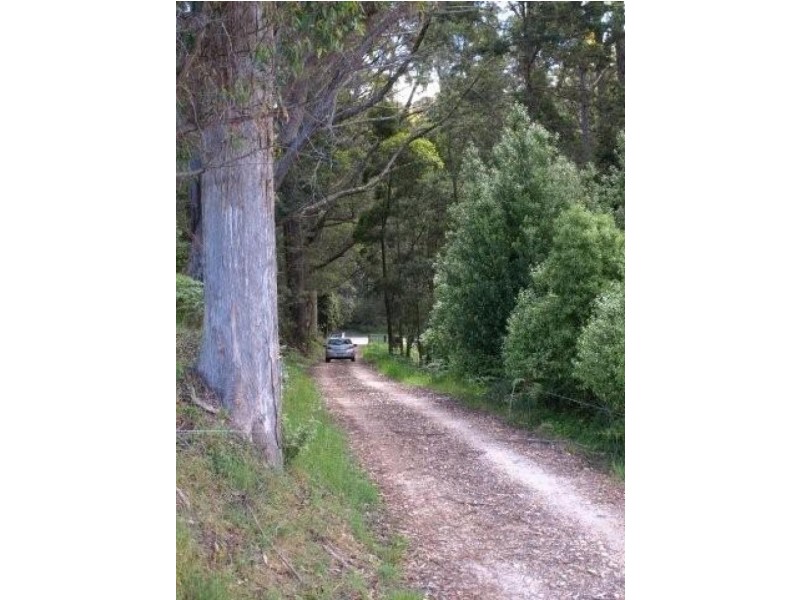 423 Upper Natone Road, Natone TAS 7321