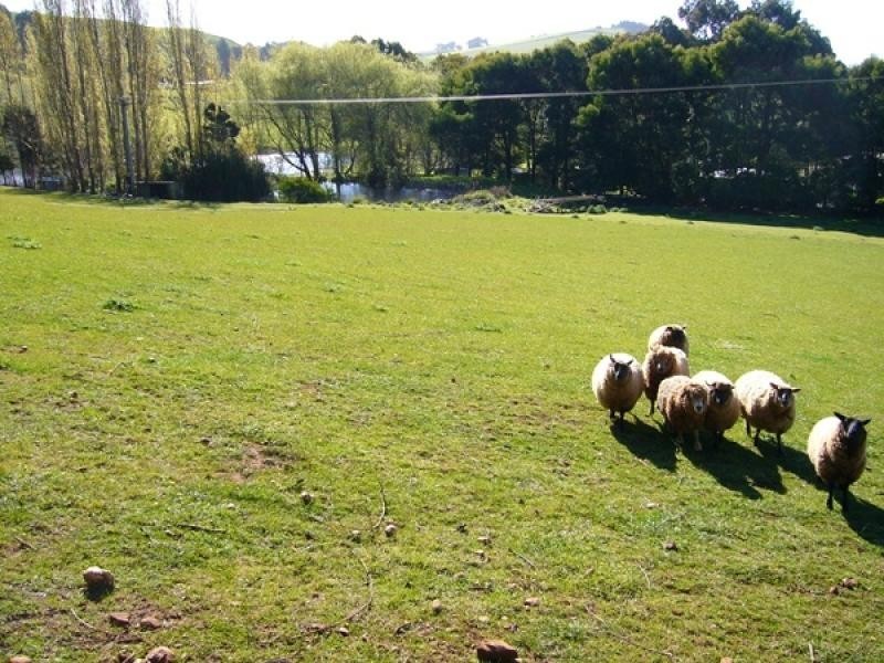 201 PenguinRoad, Ulverstone TAS 7315