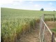 879 Castra Road, Spalford TAS 7315