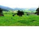 Gunns Plains TAS 7315