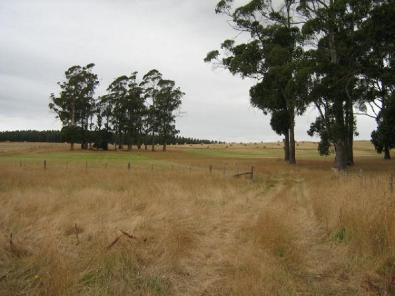 290 New Bed Road, Railton TAS 7305