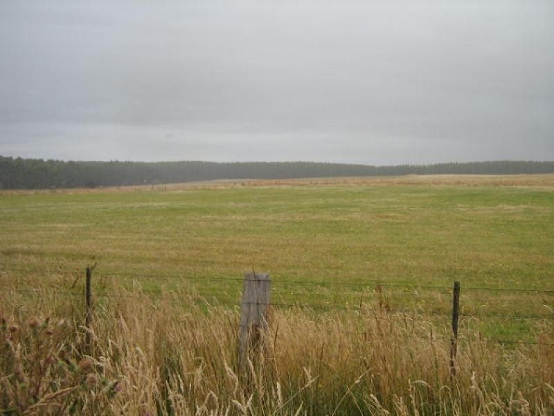 290 New Bed Road, Railton TAS 7305