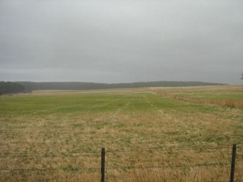 290 New Bed Road, Railton TAS 7305