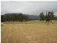 290 New Bed Road, Railton TAS 7305