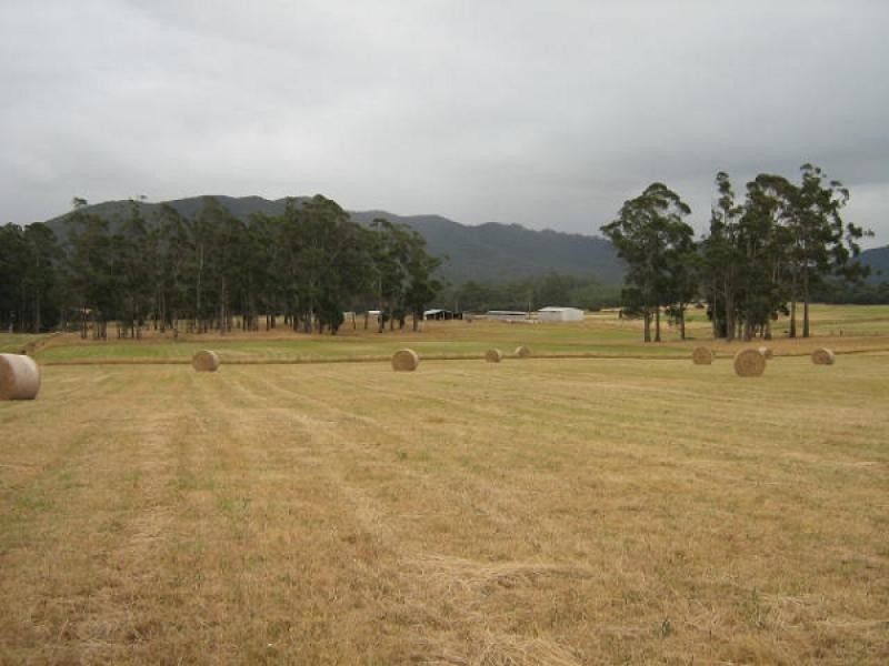 290 New Bed Road, Railton TAS 7305