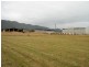 290 New Bed Road, Railton TAS 7305