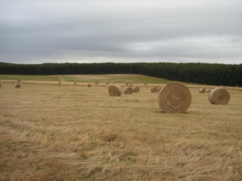 290 New Bed Road, Railton TAS 7305