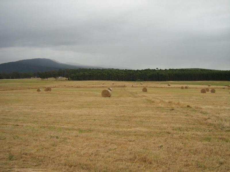 290 New Bed Road, Railton TAS 7305